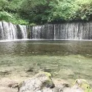 麦乃助の画像