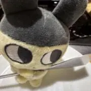 rrrr