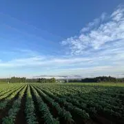 つなんファームの画像