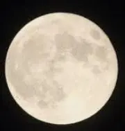 涼月の画像