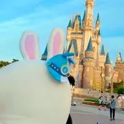 むいこ
