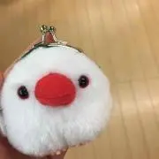 りの画像