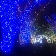 ダディ
