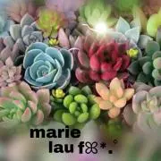 marie Lau fꕤ*。゜の画像