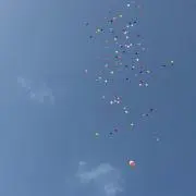 まーやんの画像
