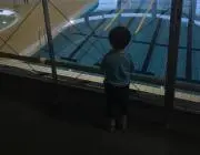 のぶたるの画像