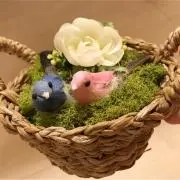 merryの画像
