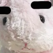 いちごよーぐるとの画像