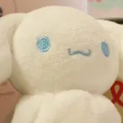もちこの画像