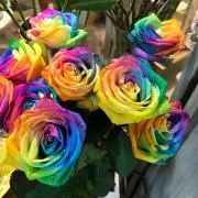 Rose♡