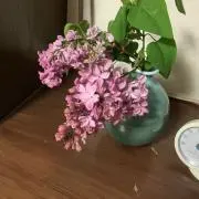MasaJの画像