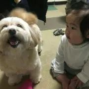 nanami