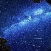 怜 琉 。