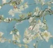 Theoの画像