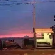 たっきーの画像