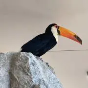 makikoの画像