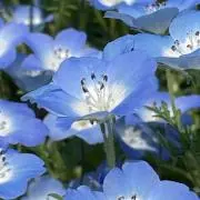 Cocomi★プロフ必読★匿名配送★の画像