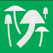 52の画像