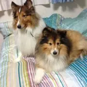 ちぃ そら