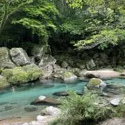 わかみーの画像