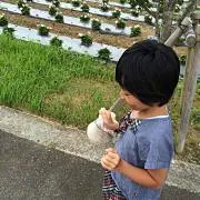 ルナカナ