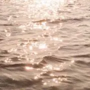 もり