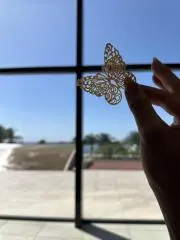 ちゅらんぴの画像