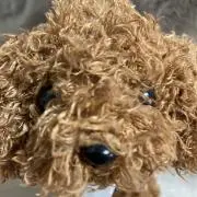 がしがし