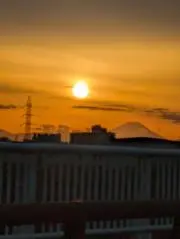 九里虎の画像