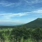 momoの画像