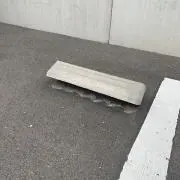 やっぱりの画像