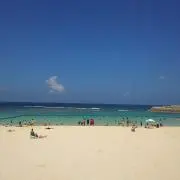 うちなんちゅの画像