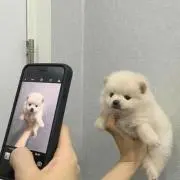 YoKo☆プロフィール必読の画像