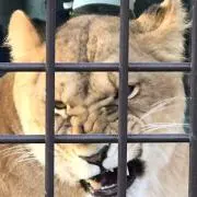 じゅんや