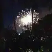 サンディの画像