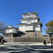 こつぶの暮らし☕️の画像