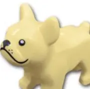 Deeの画像