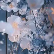 さくの画像