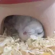 ゆん★お値下げ・まとめはコメント下さい！の画像