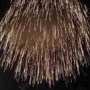 はるの画像