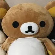 リラッ熊(・㉨・)即日発送︎︎‪✿の画像