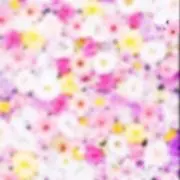 ゆき