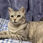 mikimikintaの画像