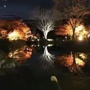 リリー♡の画像
