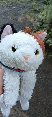 じゃいまるの画像