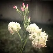 6ku6o_kの画像