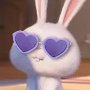 TYの画像