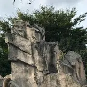 kkkの画像