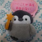 ☆小春☆の画像