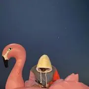 lunaの画像